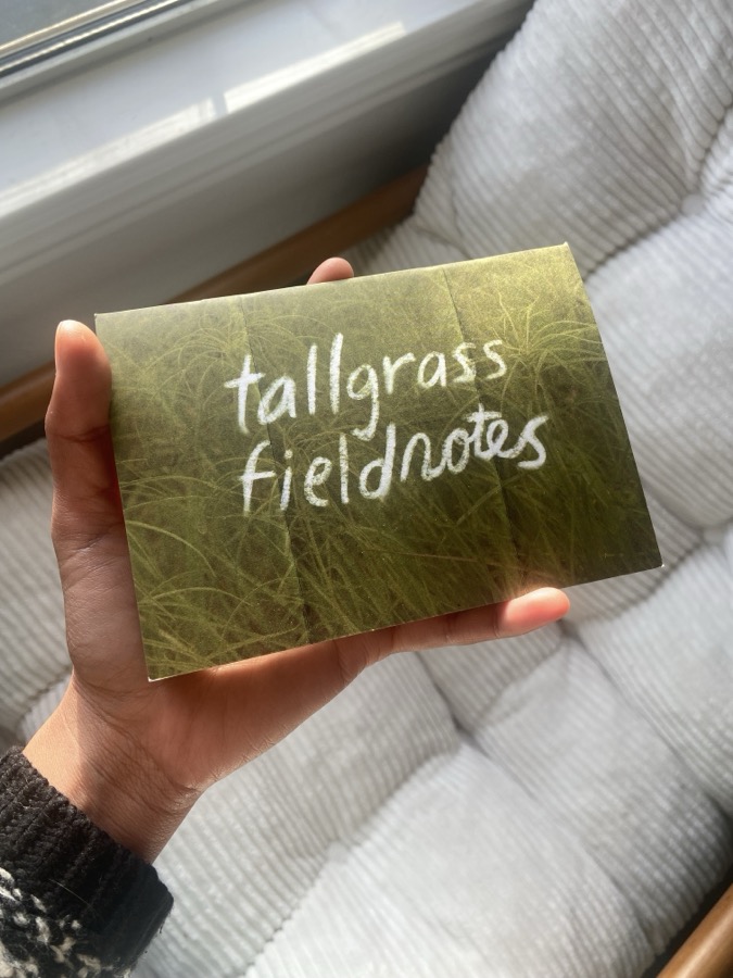 tallgrass fieldnotes