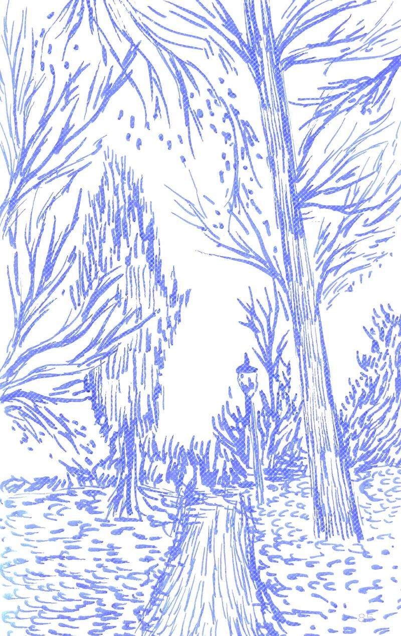 sketch