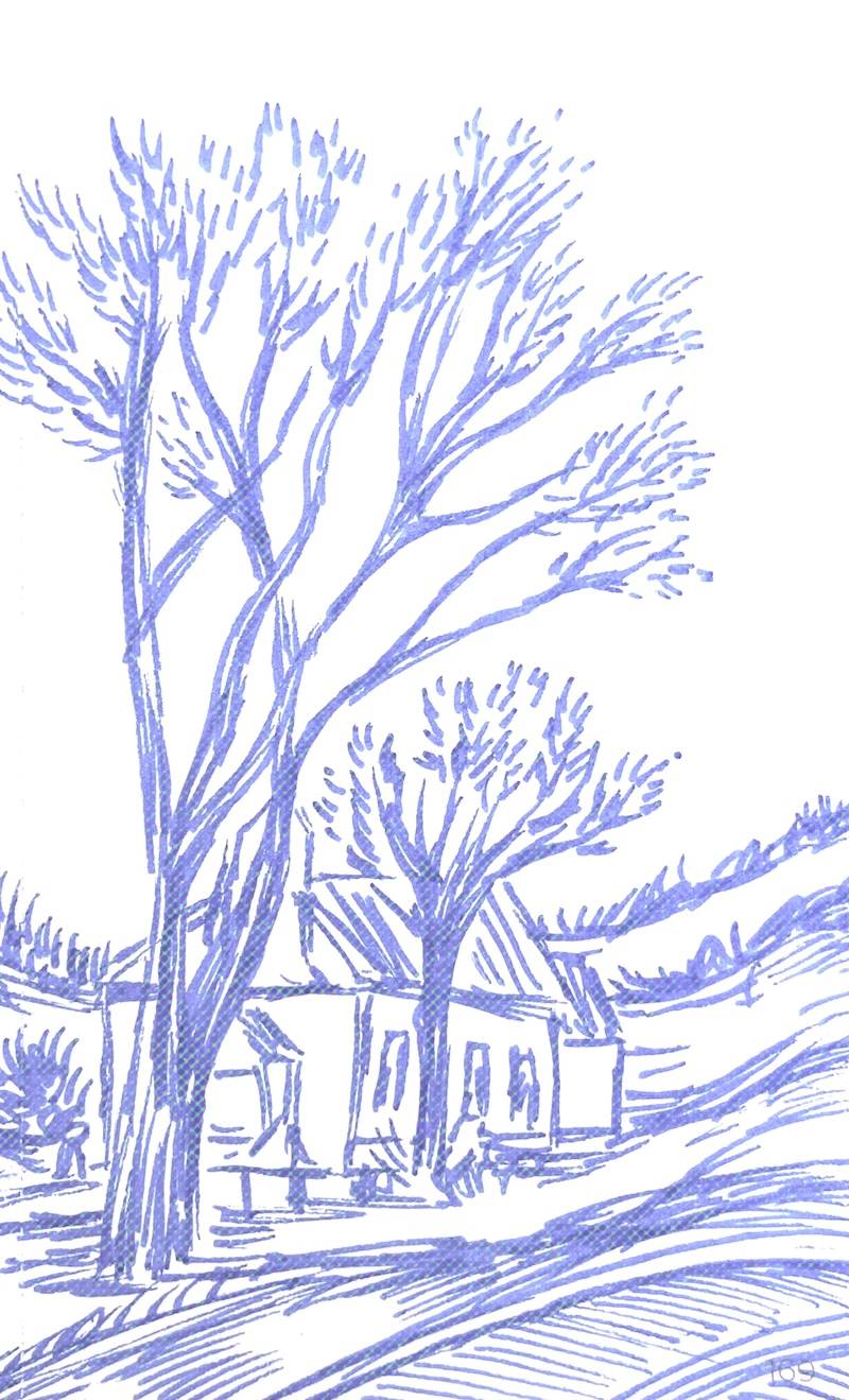 sketch