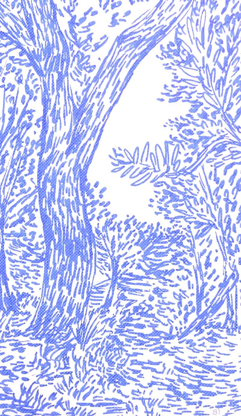 sketch