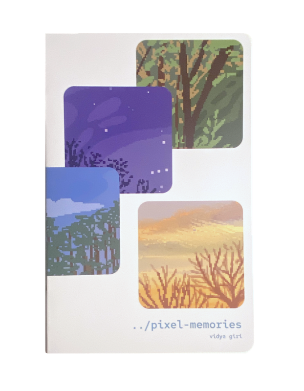 pixel memories