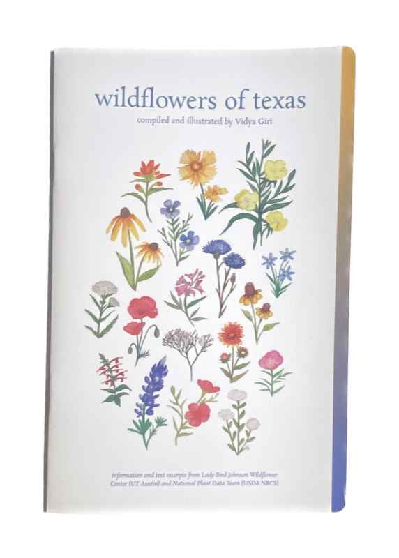 wildflowers of texas