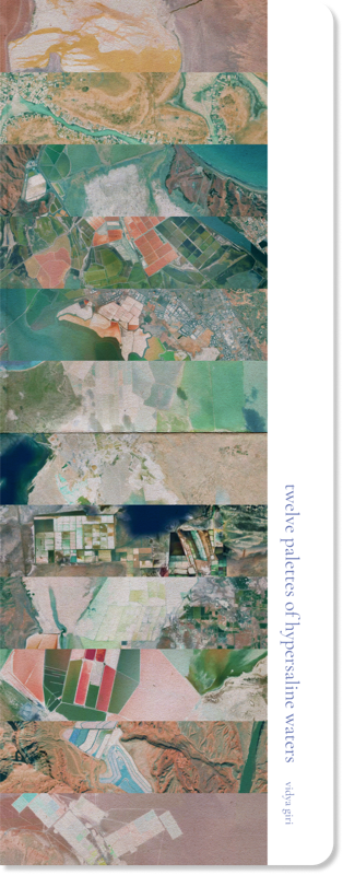 twelve palettes of hypersaline waters