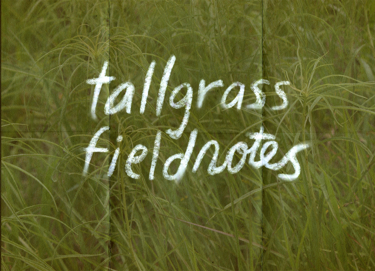 tallgrass fieldnotes