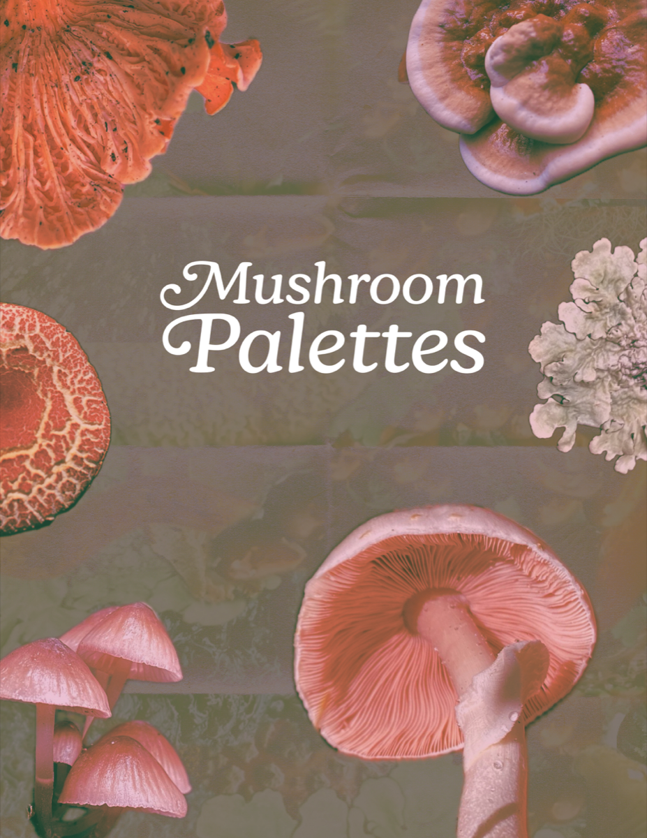 mushroom palettes