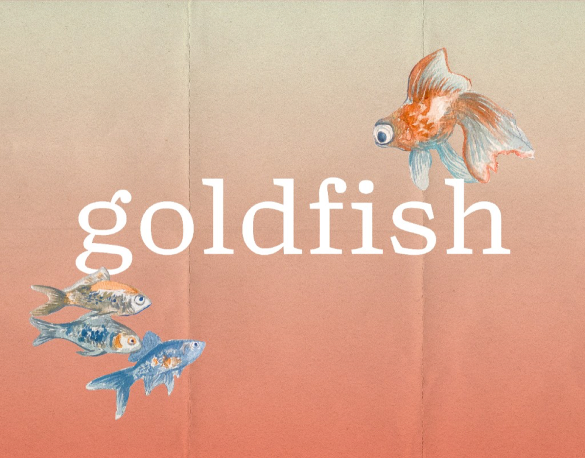 goldfish