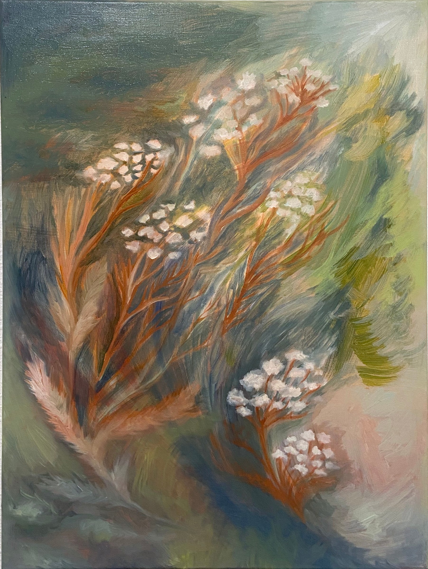 yarrow i